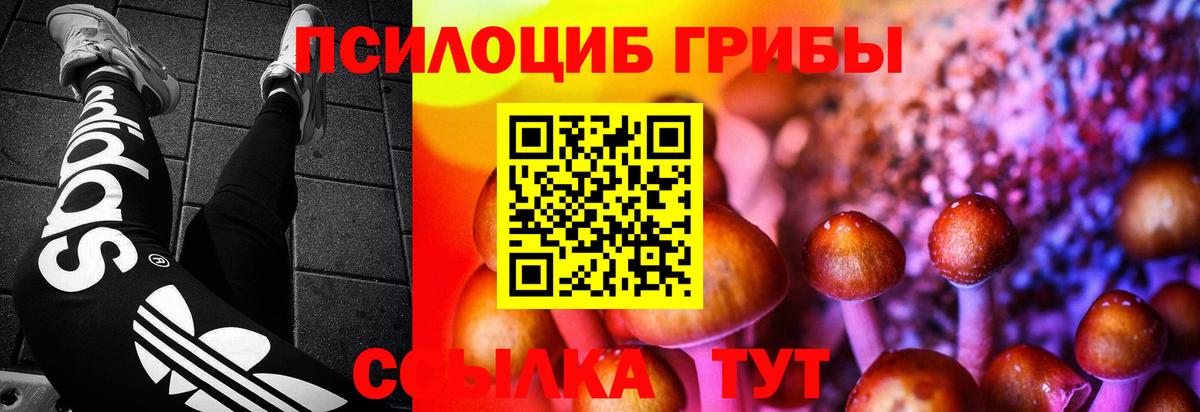 Северск  Псилоцибиновые грибы мухоморы  Вход с VPN  Галлюциногенные грибы Magic Shrooms 