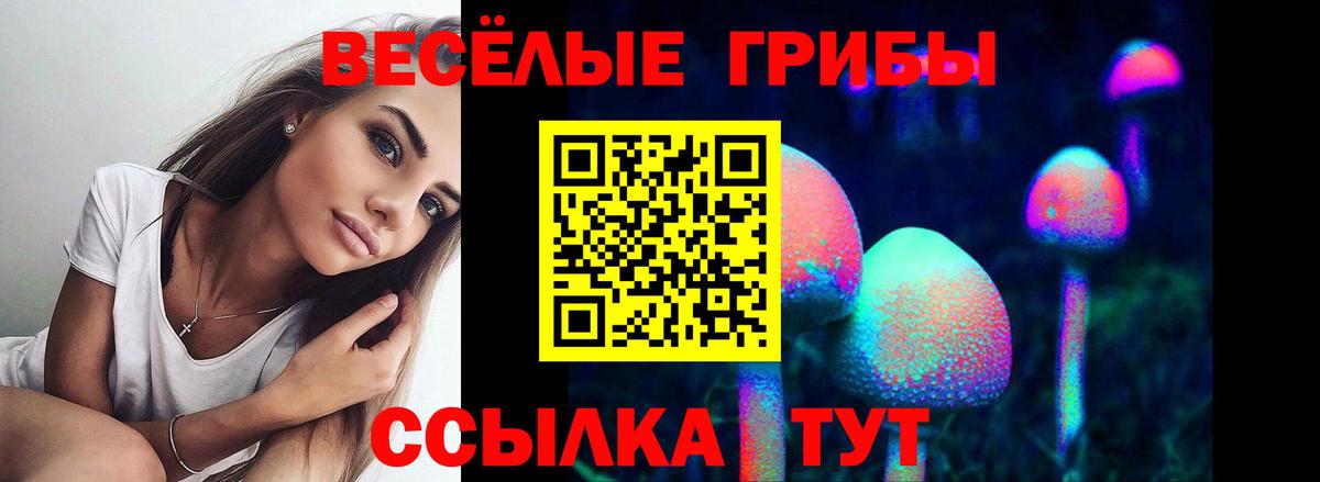 Галлюциногенные грибы MAGIC MUSHROOMS Северск